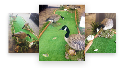 Portfolio-Tile-Goose-Mini-Golf-1